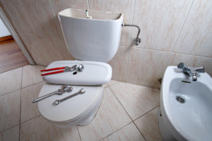 toilet-repair