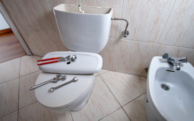 DIY Fix or Call a Pro? Making the Right Choice for Your Toilet Repair Troubles